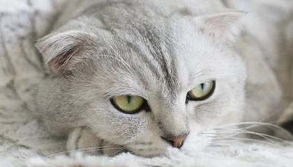 开云官网-绝地求生 选手训练强度持续加大，绝地求生训练手雷在哪里