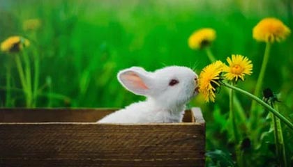 开云官网-绝地求生 选手训练强度持续加大,绝地求生训练手雷在哪里